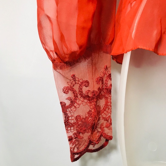 Vintage Burnt Orange Sheer Embroidered Tie Top - Picture 6 of 9